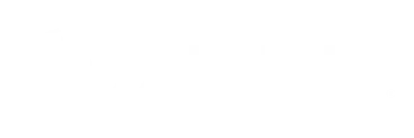 all state logo